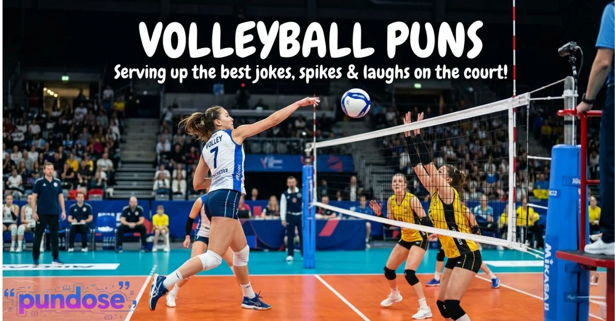 Volleyball Puns