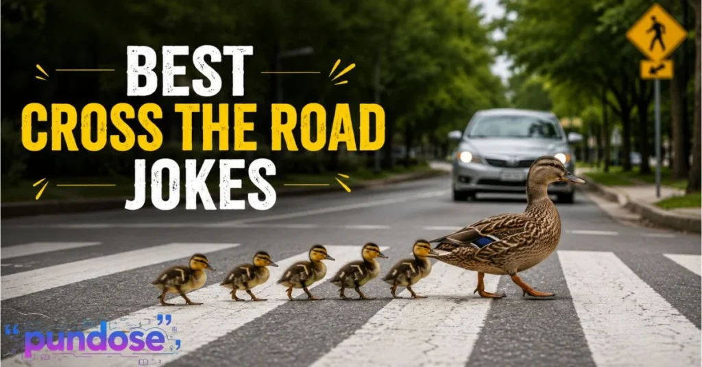 Best Cross The Road Jokes
