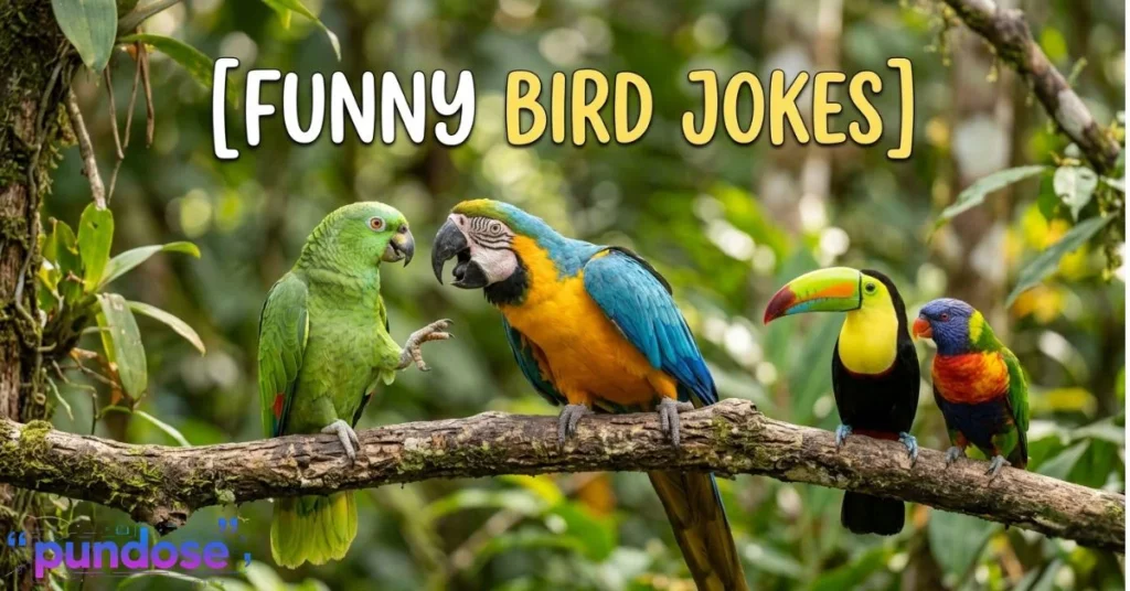 Funny Bird Jokes